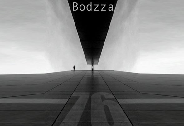 Bodzza artist image